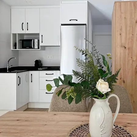 Apartment Picu Malaga